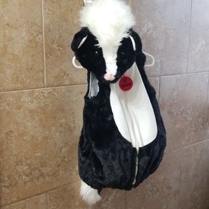 Lil' Stinker (Skunk) Costume